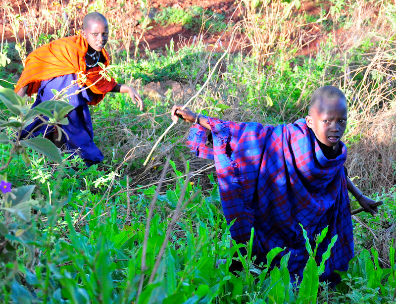 Ngorongoro Crater - Serengeti National Park